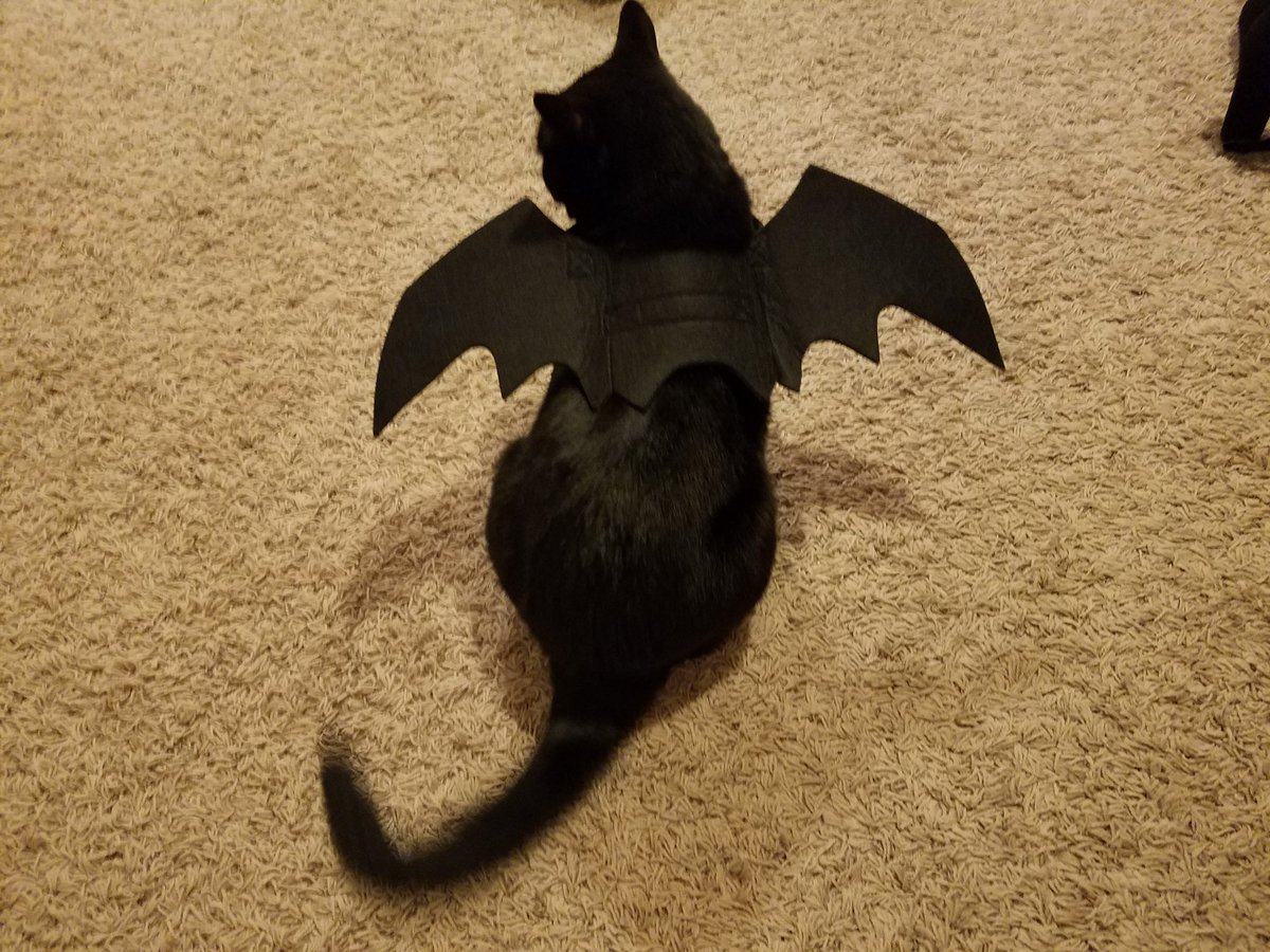 Megansattic's tweet photo. @gailcarriger She's Batman. :) https://t.co/PpEvY0qZzZ