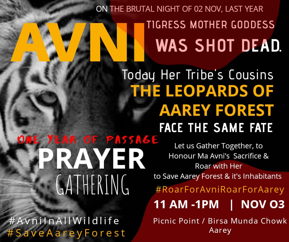 SanghiSwati's tweet photo. She was a #mother,she was a #tigress killed in cold blood,against every reason and logic by an unyielding #government,the same government which has shown no remorse in doing the same over and over again while claiming to be the #championsoftheearth to the world! What hypocrites! https://t.co/bshpPGrQCg