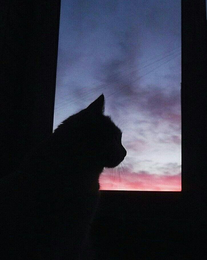 These times are really hard, but finally they will pass.

เวลานี้มันช่างยากนัก แต่สุดท้ายมันจะผ่านไปได้