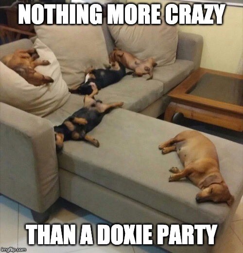 BrownietheDach1's tweet photo. Mom came across this on fb 🤣🤣 https://t.co/OF3iXrTyk4