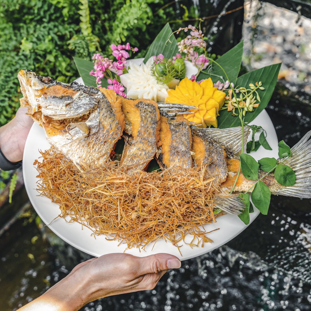 CafeStoryTH's tweet photo. ท่าเรือพลี 🏡🐟🦞🌲 #สุขุมวิท101/1

ร้านอาหารทะเลที่ยำความอร่อยตามต้นตำร���บชลบุรีแท้ๆมาไว้ที่สุขุมวิท 101/1 เจ้าของร้านคือ คุณพรต (วรพรต ชะเอม) นักแสดงช่องเจ็ดที่เราคุ้นเคยครับ นอกจากอาหารทะเลยังมีเมนูเด็ดๆอื่นๆอีกเพียบ ร้านอยู่บริเวณเดียวกับคาเฟ่ ร้านกาแฟดังชื่อกระทรวงการคั่ว https://t.co/PvPIeXGKrc