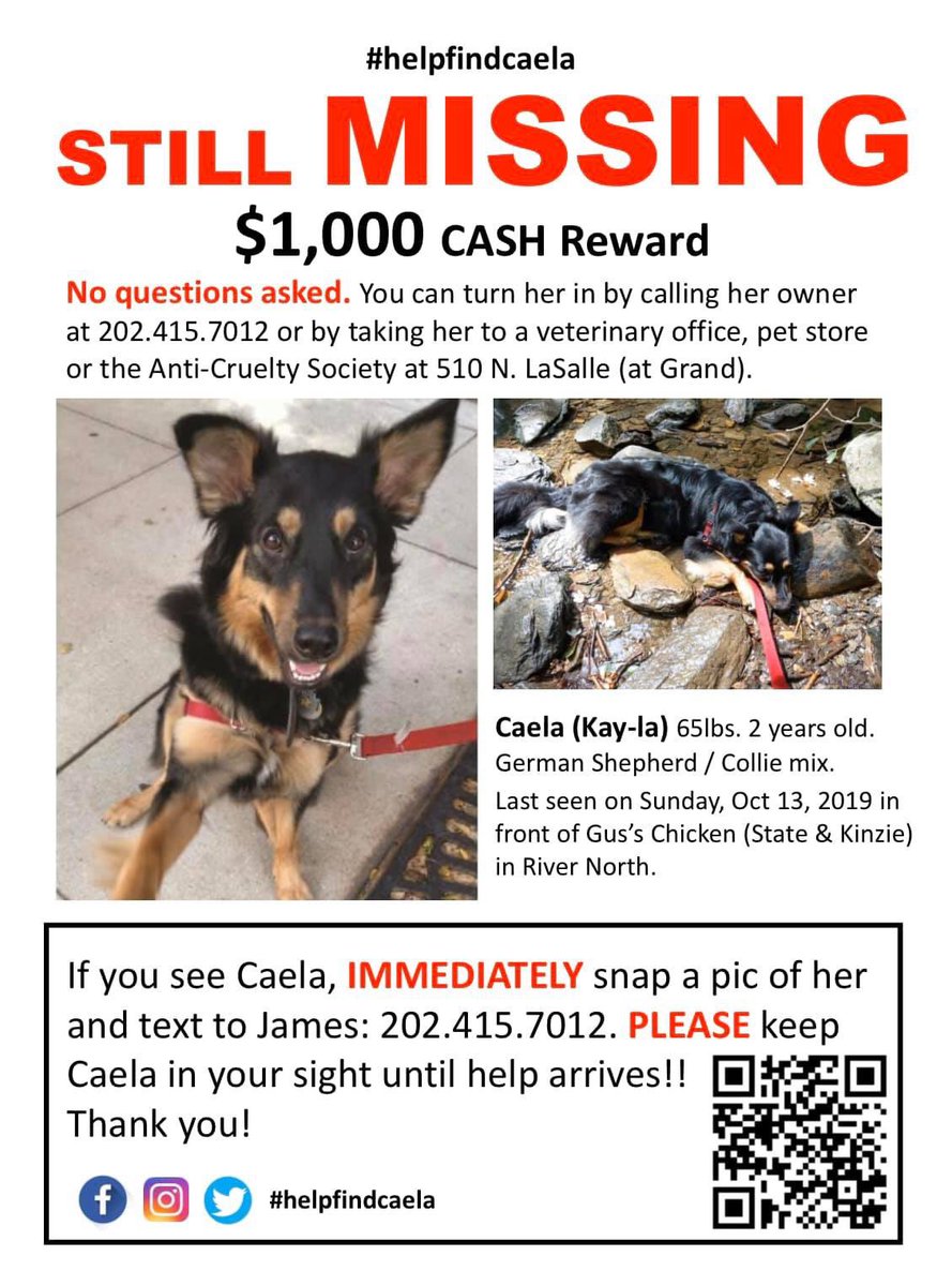 mandaaaa's tweet photo. @ABC7Chicago So horrible. Caela is still missing too 😩 https://t.co/PxgV9icpNO