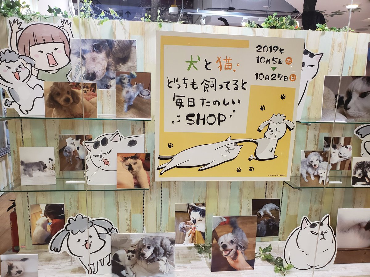 犬と猫どっちも飼ってると毎日たのしいshop 犬と猫どっちも飼ってると毎日たのしいshop