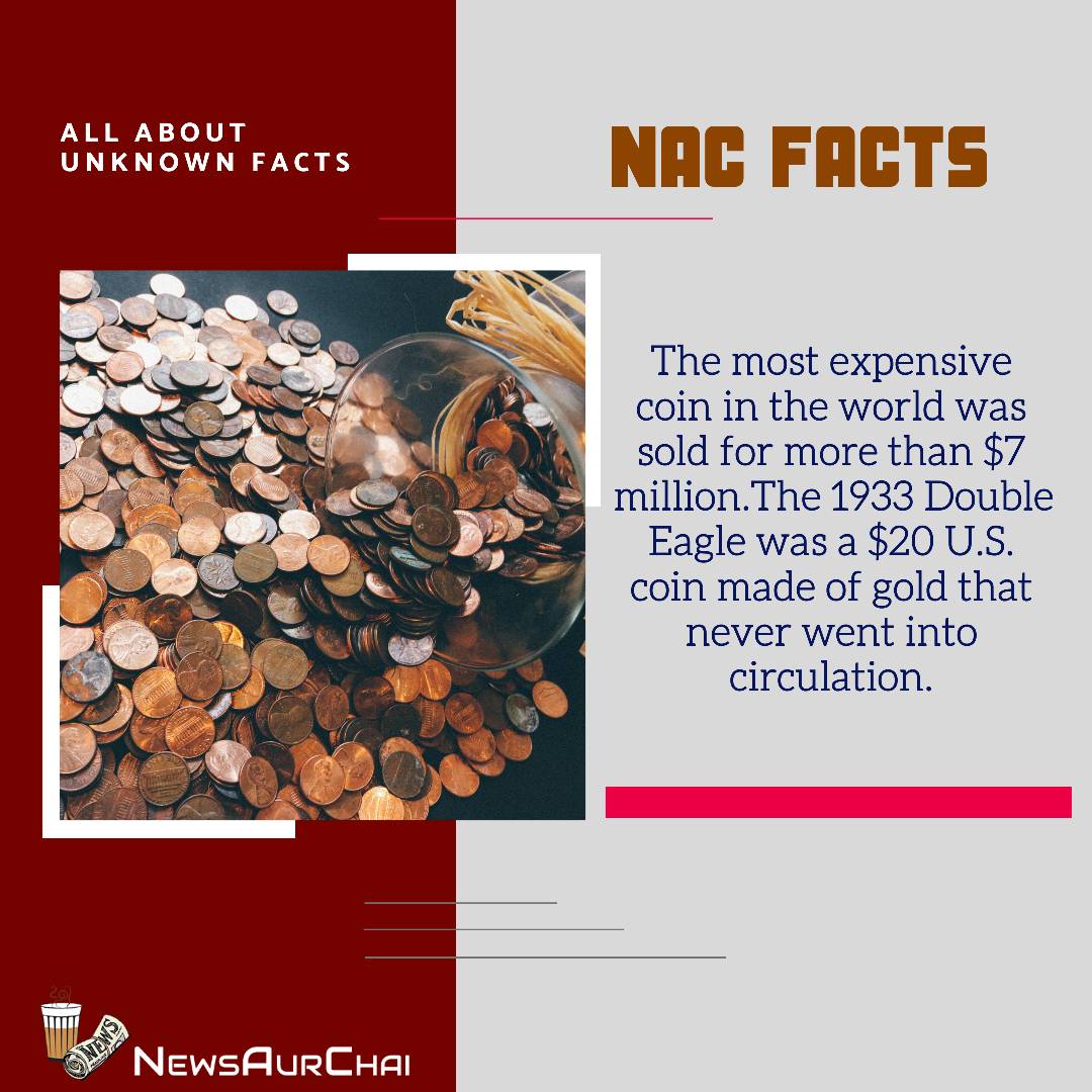 NewsAurChai's tweet photo. #FactualFriday With #NAC.
--
#Follow to learn More #Facts.
--
#NACFacts #NewsAurChai #NACDay #FridayFacts #FactualLife #Knowledge #FactsToKnow #Learn #LearnAndGrow #AmazingFacts #WordsToLearn #GrowToLearn #LearnWithNAC #KnowledgeToAccquire #AspireToInspire #ExpensiveCoin #Read https://t.co/orHQRGSpeg