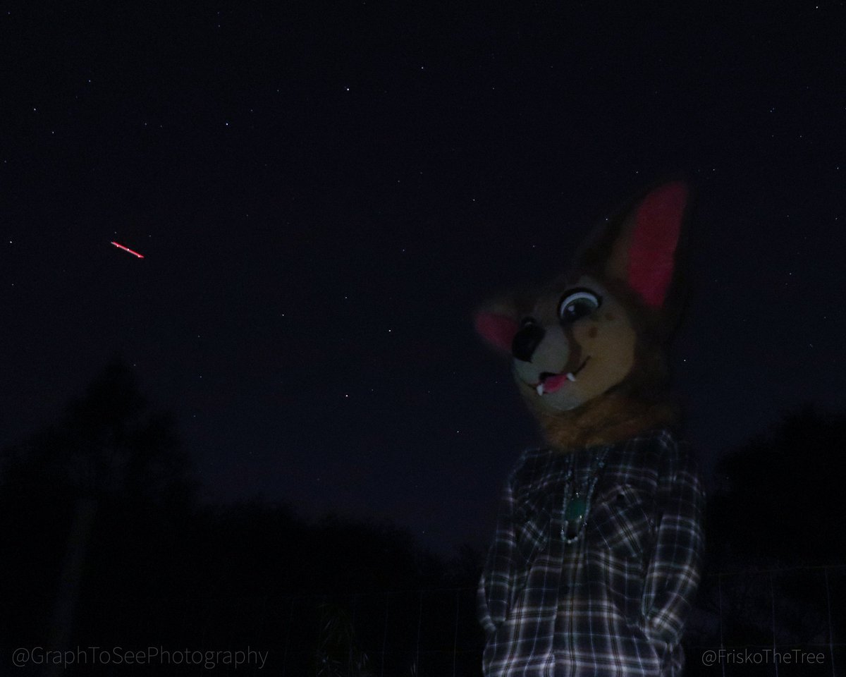 FriskoTheTree's tweet photo. Spooky time ππ»π
#FriskoFursuit #Frisko #MonarchMeadows #FursuitPlz #FursuitsPlz #GraphToSeePhotography #Halloween https://t.co/mydzWWDss3
