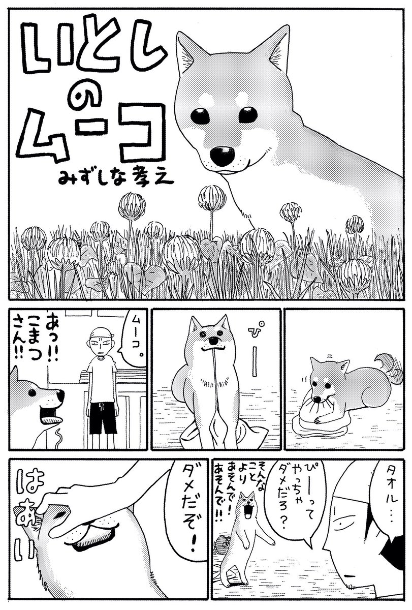 今日は犬の日ということなので、連載開始前に同人誌に描いたいとしのムーコとイブニング連載で描いた第1話の比較をどうぞ。(1/3)
#犬の日 