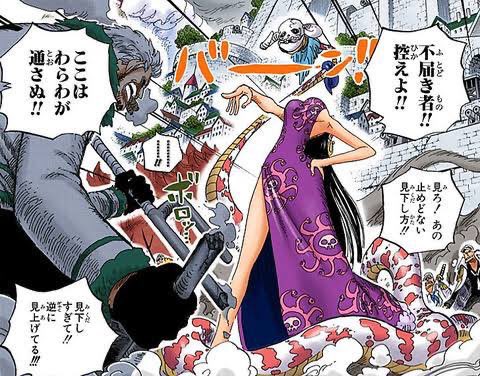 ハンコック ワンピース 背中のマークの謎とは 過去に悲しい秘密があった 漫画ネタバレ感想 考察の庭