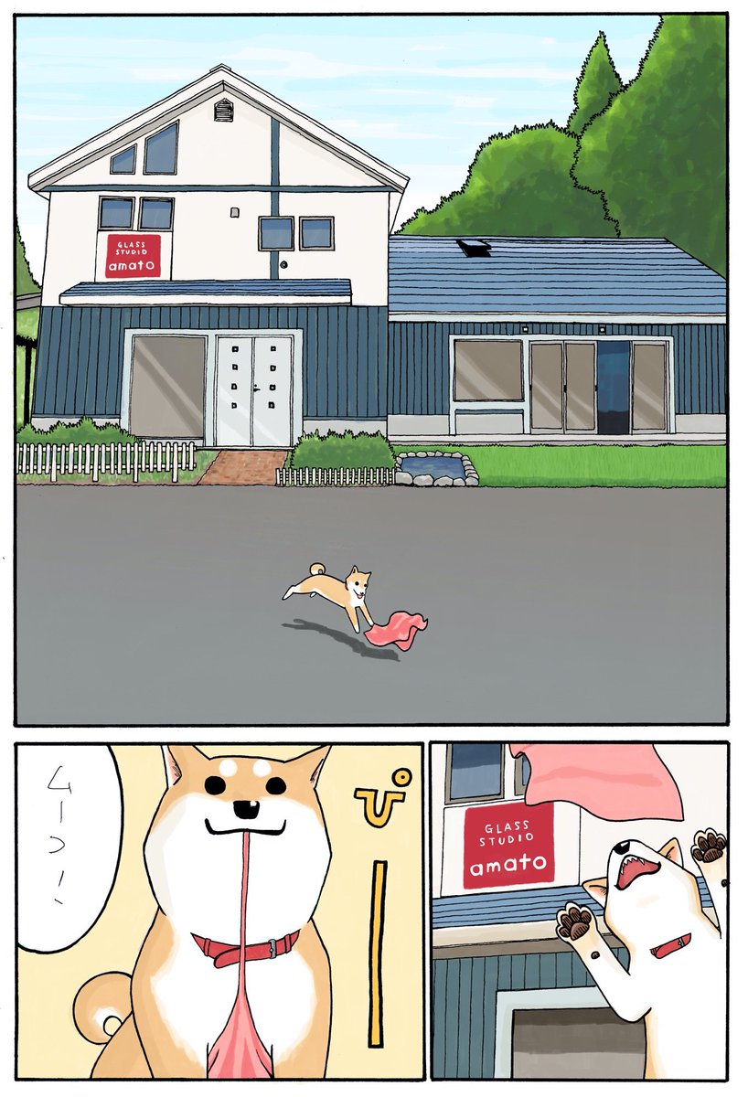 (2/3) #犬の日 