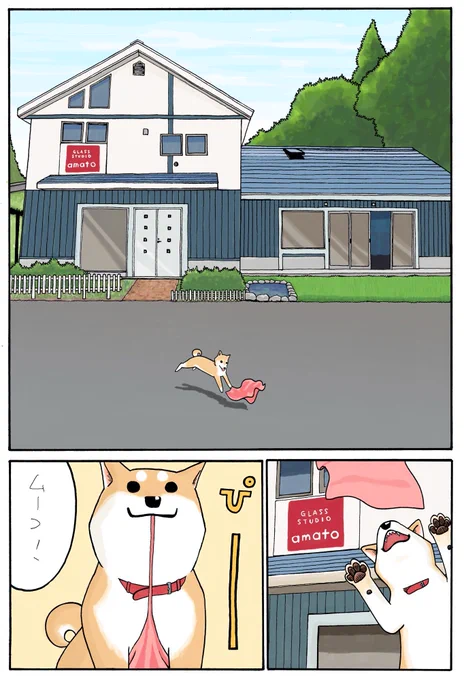(2/3) #犬の日 