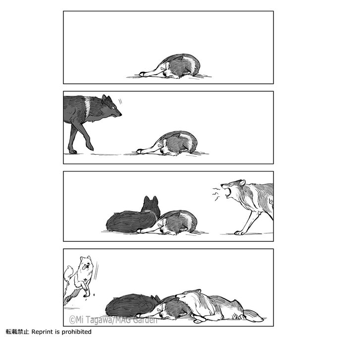 犬の日だと聞いて…(再掲)

#犬の日 #こりせんまん 
