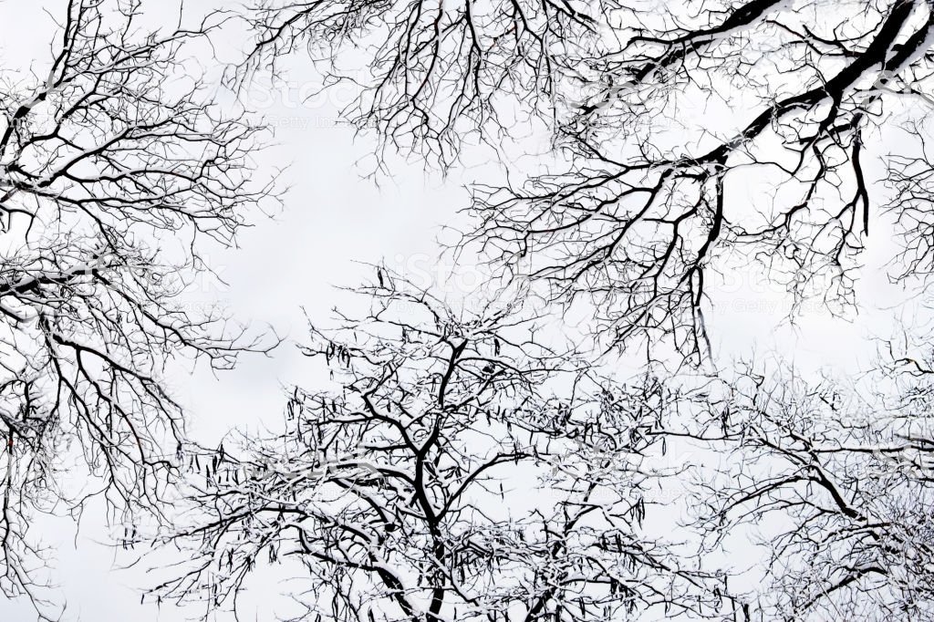 IdisBlog's tweet image. Si vous voulez lire la suite de l&apos;histoire ...
Le 34ème récit de &quot;La Vie de Ada&quot; est en ligne sur le Blog d&apos;Idis

idisblog.fr/post/la-vie-de…

Likez si vous aimez et faites moi vos commentaires !