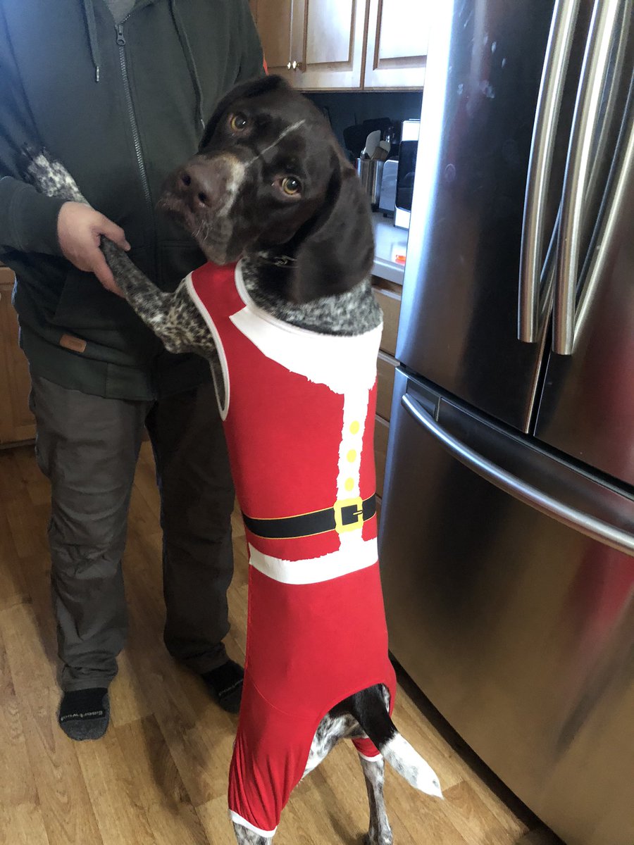 Kskud13's tweet photo. @OfficerHurstDPD https://t.co/Ctg2q14YRk