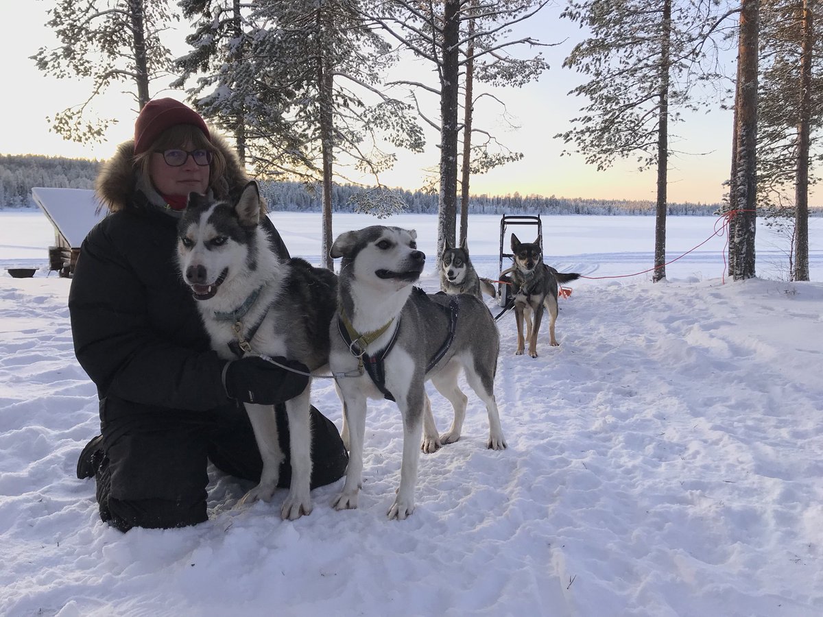HarrinivaHS's tweet image. Our first husky ride for this winter! Check it out here bit.ly/2PCmSHu #harriniva #lapland #BUCKETLIST