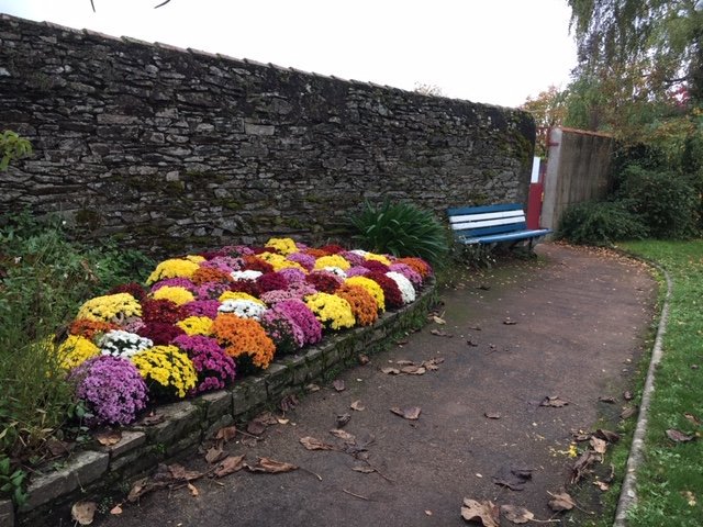 The chrysanthemum has long been associated with La Toussaint; All Saints Day. Some believe the tradition commenced after the end of the Great War