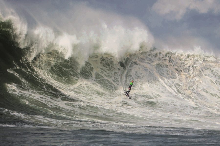 Surfer Rule tweet media