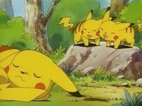 デデンネェ せんせい なんかサトシのピカチュウが ピチューだった頃の話をアニメでやるらしいけど もうピカチュウの森という設定は 闇に葬ろうってことなんですかね T Co Wl5exban Twitter