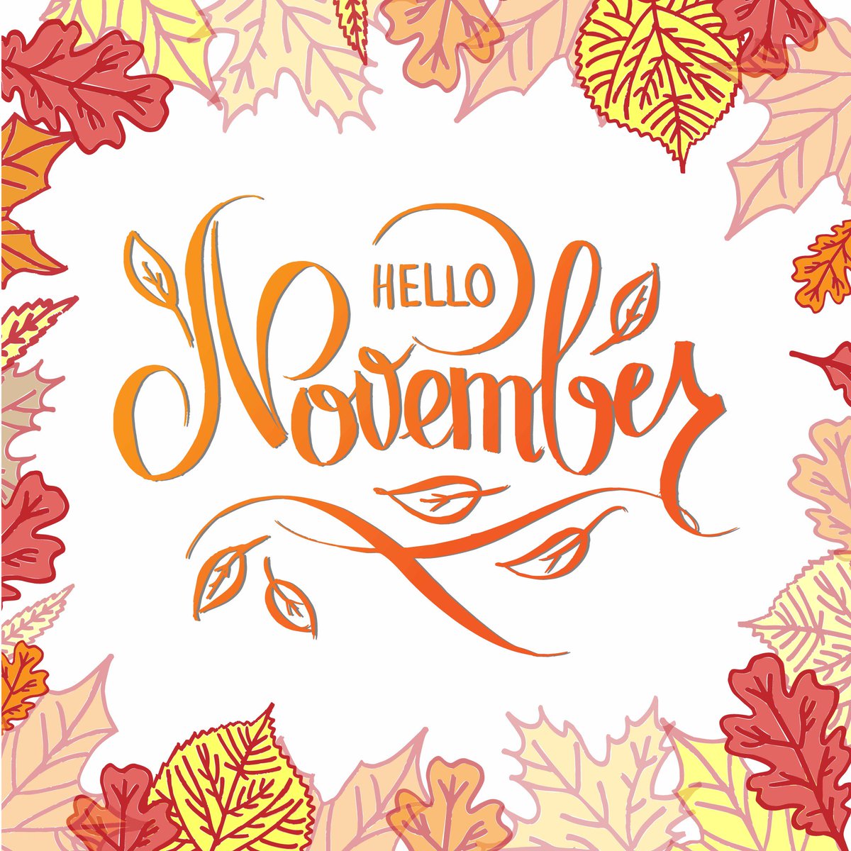Happy November from us all in Provence! 

#november #novemberinprovence #provence #autumnholidays #olivesandvines