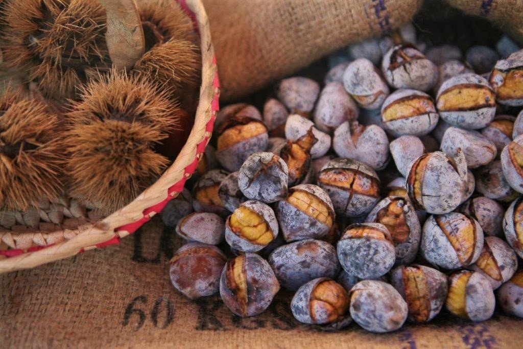 An der Südküste von #Portugal fällt das Thermometer jetzt erst unter 20 Grad: Der #Algarve-November 2019 lockt mit leckeren #Herbst-Aromen, Natur, Kunst, Musik und Sport. algarve-entdecker.com/2019/11/algarv…
<a href="/visitportugal/">Visit Portugal</a> @turismo_algarve <a href="/FAZ_Reise/">FAZ  Reise</a> <a href="/SZ_Reise/">SZ Reise</a> <a href="/WELT_Reise/">WELT Reise</a> <a href="/stern_reise/">stern Reise</a>