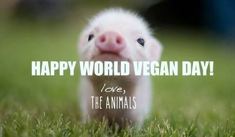 Veggiedeli's tweet photo. Happy World Vegan Day! 😊 💚

#worldveganday #worldveganday2019 https://t.co/Y1zRnnkVcn https://t.co/NtJ9awLYt9
