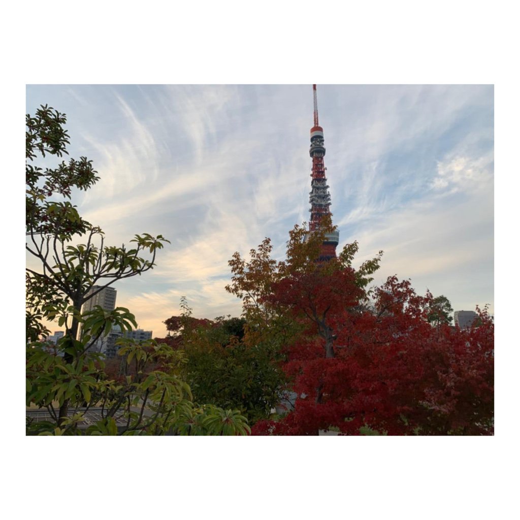Back to Tokyo with some time off to enjoy the Autumn colours. #tokyolove #home

instagram.com/jasoncollierjc