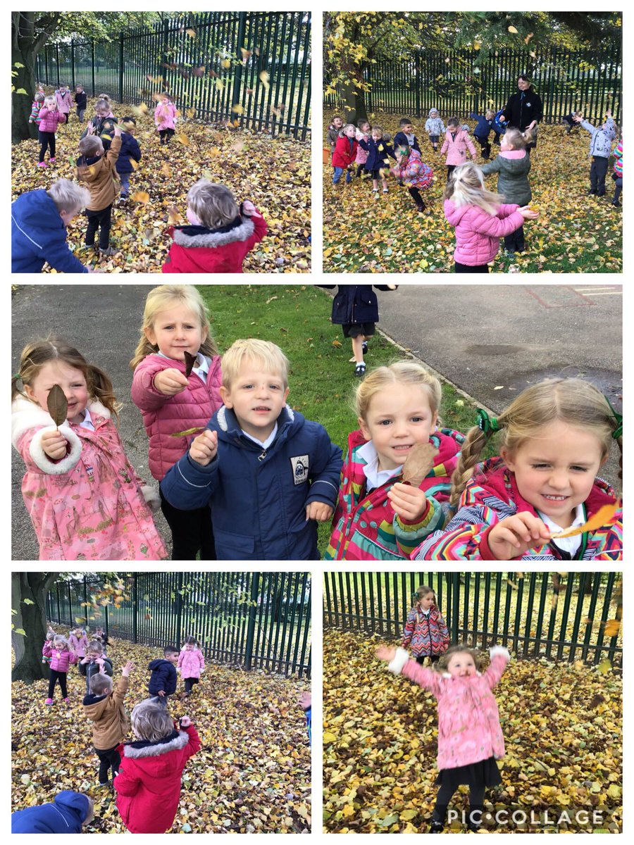 CloverfieldsN's tweet photo. Why do Leaves go crispy? @cornerstones we went on a nature walk collecting leaves. Thinking about why leaves fall in autumn and recognising the variety of colour! 🍃🍂🍁##EYFS #autumnfalls  #whydoleavesgocrispy https://t.co/S6PpS3LpQ7