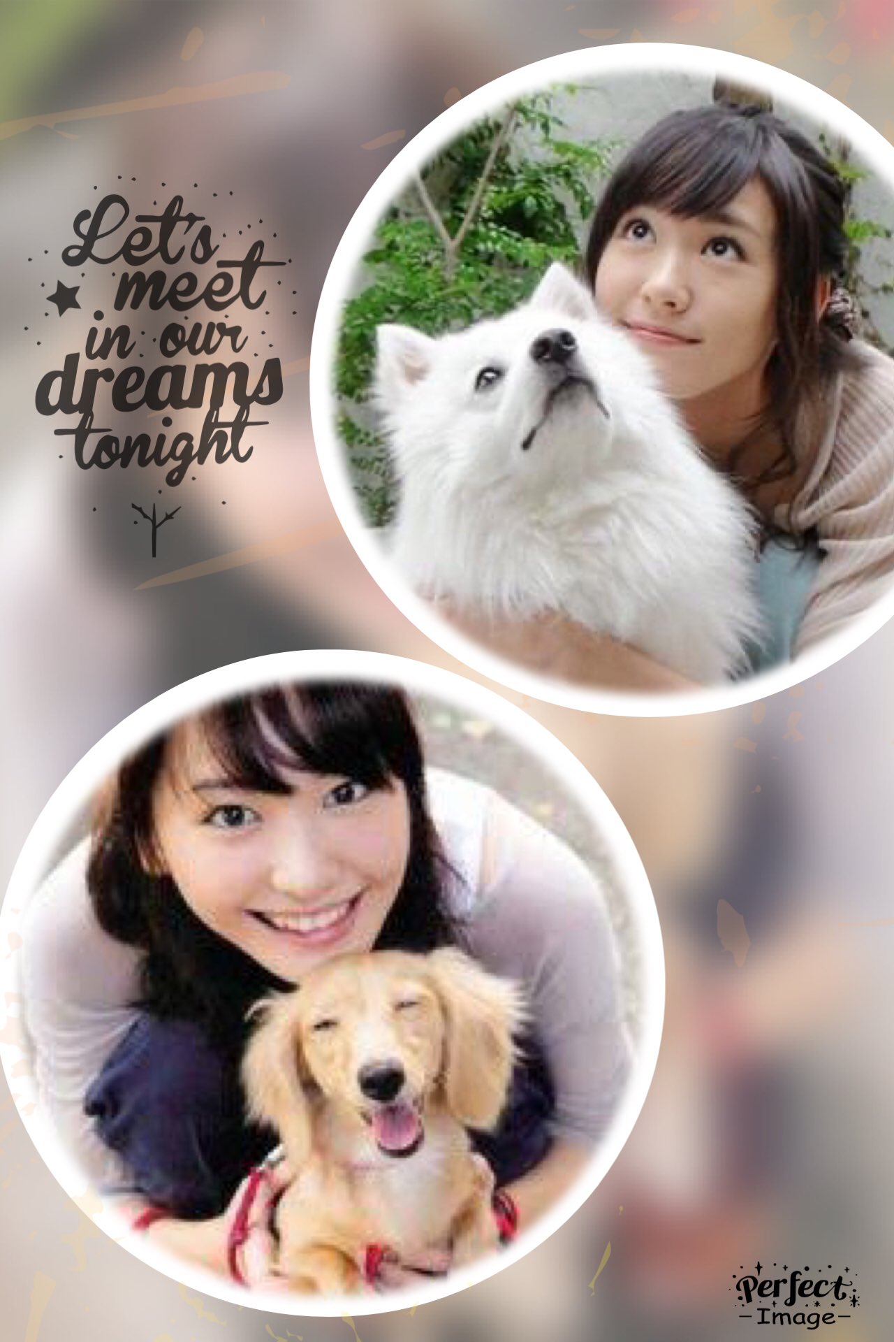 ゆず 今日は犬の日だそうです ガッキーの愛犬ココちゃんは元気かな 犬の日 新垣結衣 T Co Hjd6sncbag Twitter