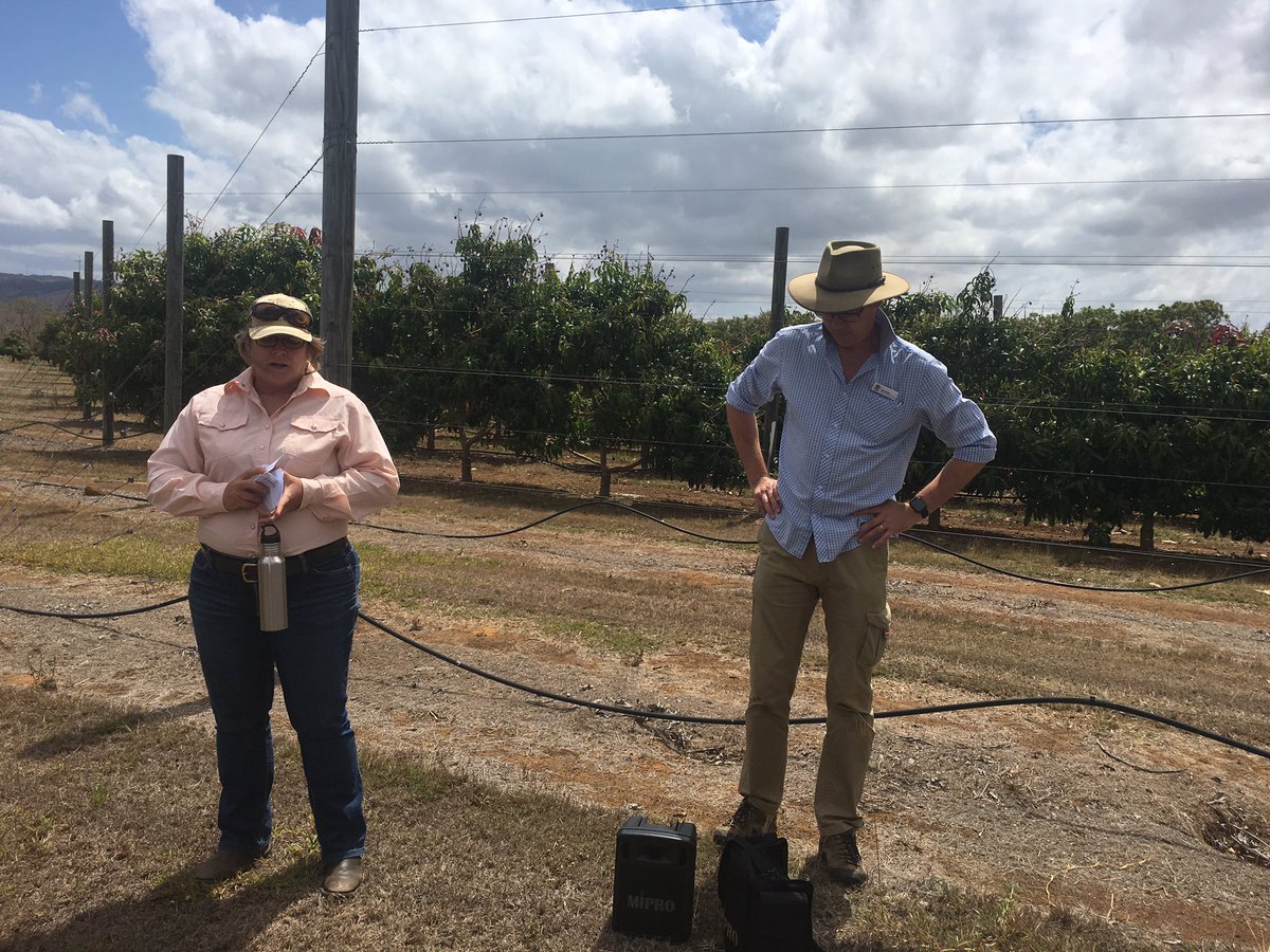 FACAustralia's tweet image. A great #farm tour day today for our visiting #agtech entrepreneurs &amp;amp; innovators.  A chance for everyone to get to know each other &amp;amp; take in some of the terrific farm land &amp;amp; innovative agriculture we have here on the Tablelands.  #keepingtheaginagtech #QAM2019 #fnq
