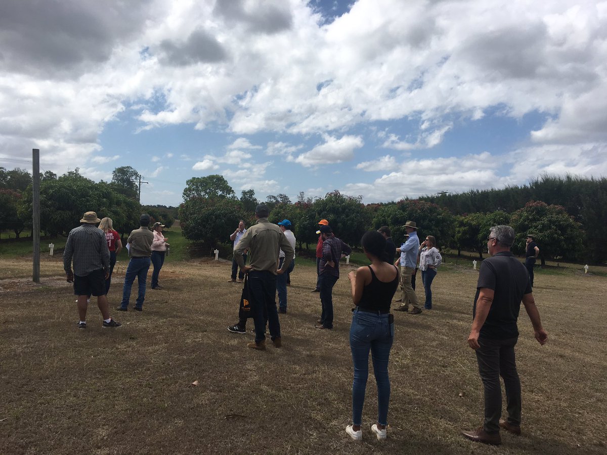 FACAustralia's tweet image. A great #farm tour day today for our visiting #agtech entrepreneurs &amp;amp; innovators.  A chance for everyone to get to know each other &amp;amp; take in some of the terrific farm land &amp;amp; innovative agriculture we have here on the Tablelands.  #keepingtheaginagtech #QAM2019 #fnq