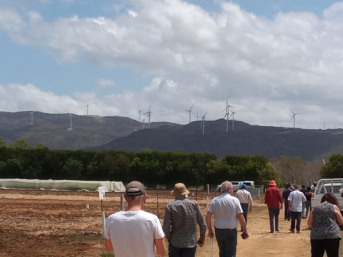 FACAustralia's tweet image. A great #farm tour day today for our visiting #agtech entrepreneurs &amp;amp; innovators.  A chance for everyone to get to know each other &amp;amp; take in some of the terrific farm land &amp;amp; innovative agriculture we have here on the Tablelands.  #keepingtheaginagtech #QAM2019 #fnq