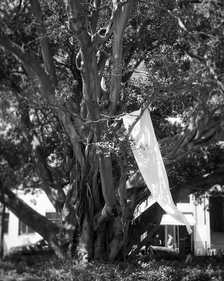 socialcanvas_au's tweet photo. Open Day Garden Party Brislington Medical & Nursing Museum, #Parramatta Sat 2 Nov 11–3pm.
A family day on the front lawn under a huge fig tree.
https://t.co/m335WR16JN
installation: #Treecurtains and linen by @mpathesii
https://t.co/cbfeHQporR https://t.co/hqpFwBhnLB
