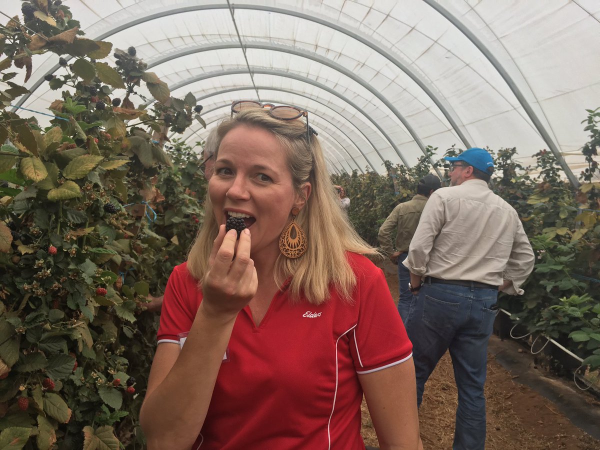 JessFealy's tweet image. The #ag in #agtech comes first 👍.  Great farm tour day today to kick off @FACAustralia @FAC_network Future Agro Challenge for 2019 👏👏 #QAM2019 #keepingtheaginagtech