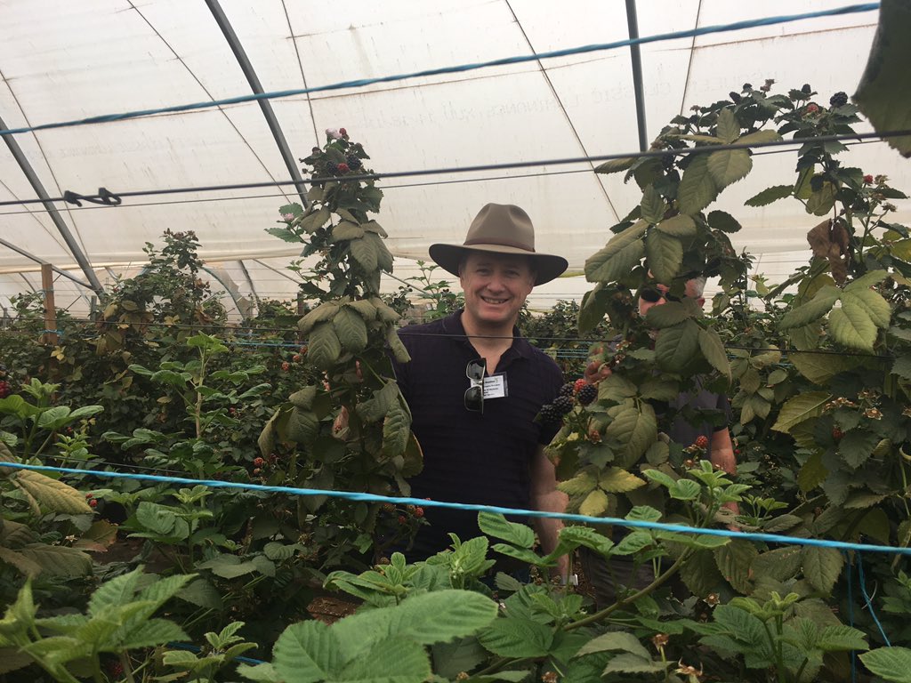 Jessica Fealy (@jessfealy) on Twitter photo Great to have head of #agtech at <a href="/KPMG/">KPMG</a> <a href="/ben_vandelden/">Ben van Delden</a> on the #athertontablelands checking out our terrific #agriculture region 👍👍 for <a href="/FACAustralia/">FAC Australia</a> #QAM2019 #keepingtheaginagtech Great to have head of #agtech at <a href="/KPMG/">KPMG</a> <a href="/ben_vandelden/">Ben van Delden</a> on the #athertontablelands checking out our terrific #agriculture region 👍👍 for <a href="/FACAustralia/">FAC Australia</a> #QAM2019 #keepingtheaginagtech