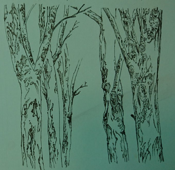 佐藤夕子さん の最近のツイート 13 Whotwi グラフィカルtwitter分析