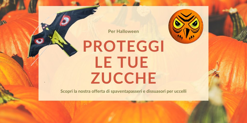ATTENZIONE! buff.ly/2Nqqtp6 🌰🎃
