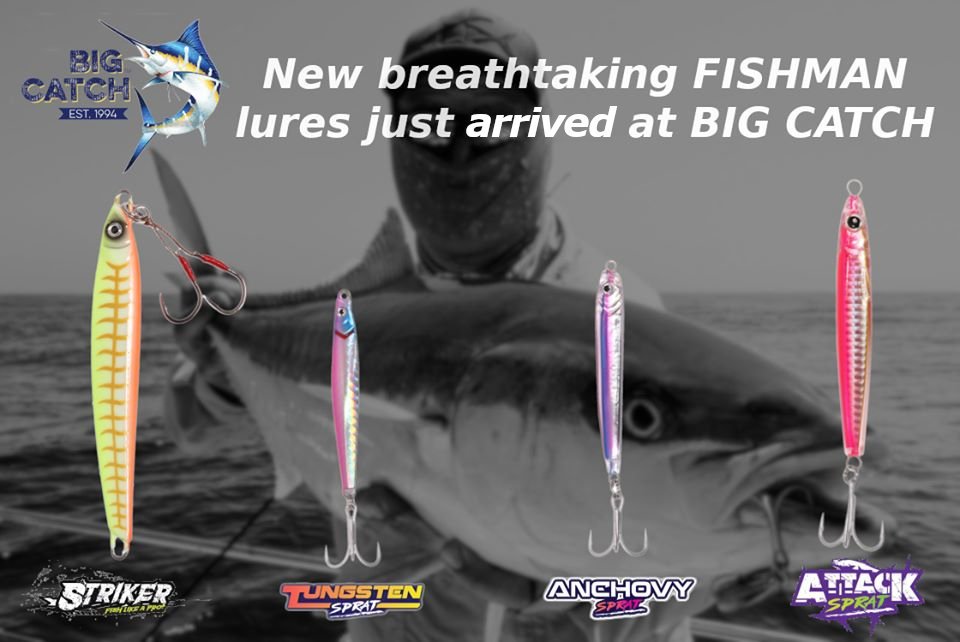 big catch paarden eiland