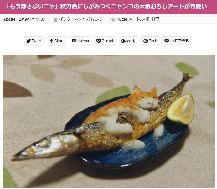 تويتر おたくま経済新聞 على تويتر 今どきはなかなか七輪でサンマ を焼くこともなくなりましたが 猫はやっぱり魚が好き そんな様子を大根おろしで表現していますよ もう離さないニャ 秋刀魚にしがみつくニャンコの 大根おろしアートが可愛い T Co