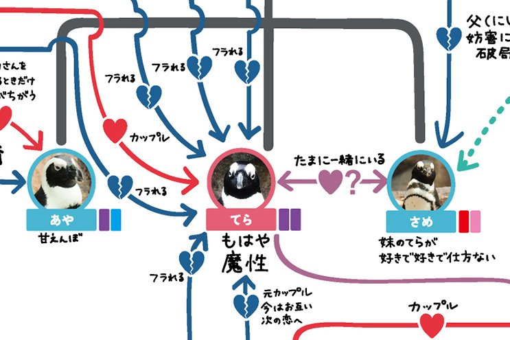 元カレが父親で今は恋敵 すみだ水族館 京都水族館のペンギン相関図が濃すぎる件 いいね ニュース