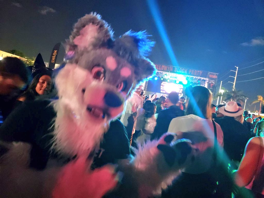 TrebleHusky's tweet photo. Had a heckin BLAST at HolloWYN
Walked, Danced, Drank, and had a lot or fun.
My partner @Lupinprincess handled me (and thank god she did, cuz' I couldn't see HECK) 😅
🐺: @GWolfCreations
#halloween2019 #HalloWYNBlockParty https://t.co/dUUBdy4GiH