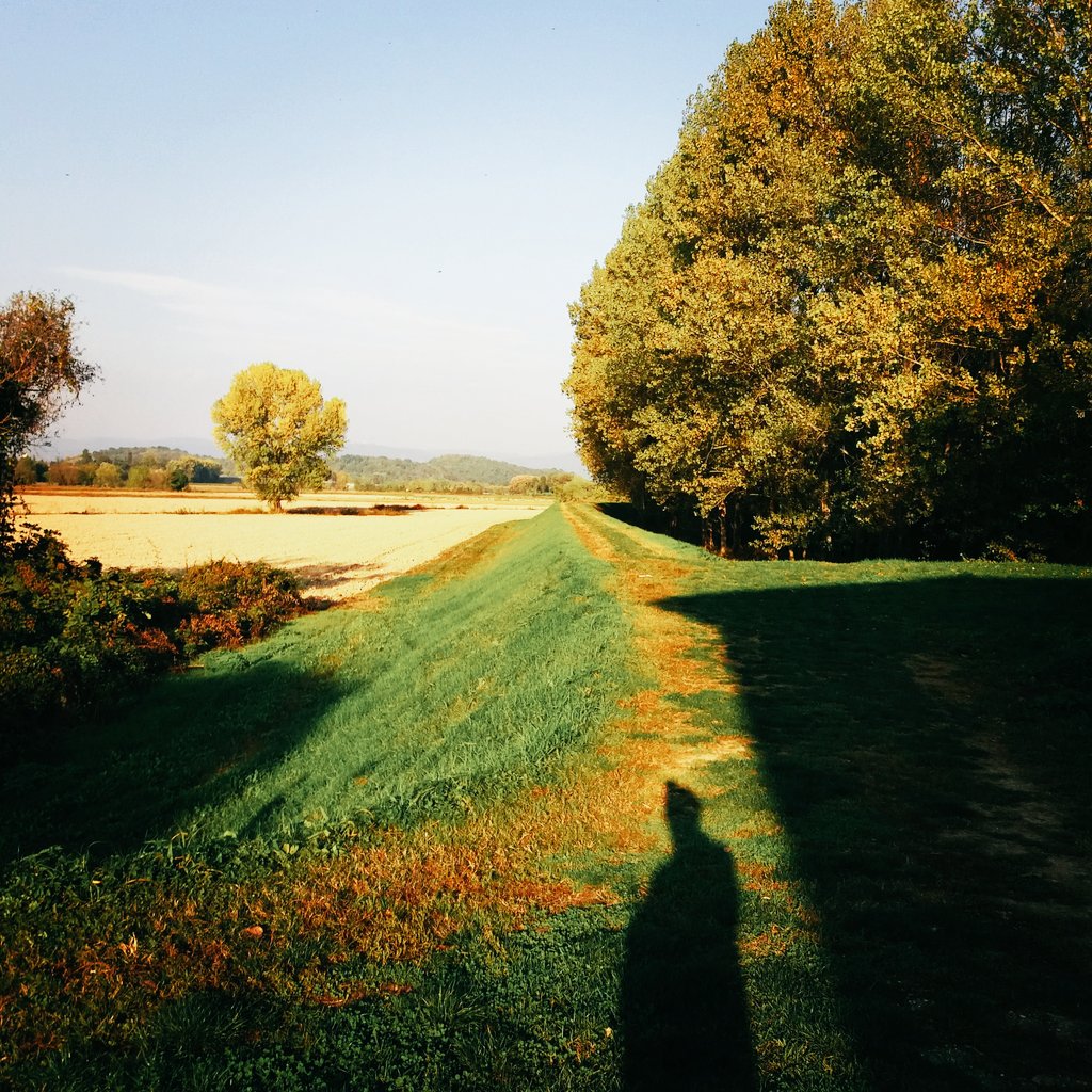 Impara nella semina, insegna nel raccolto, ed in inverno godi.
(William Blake)