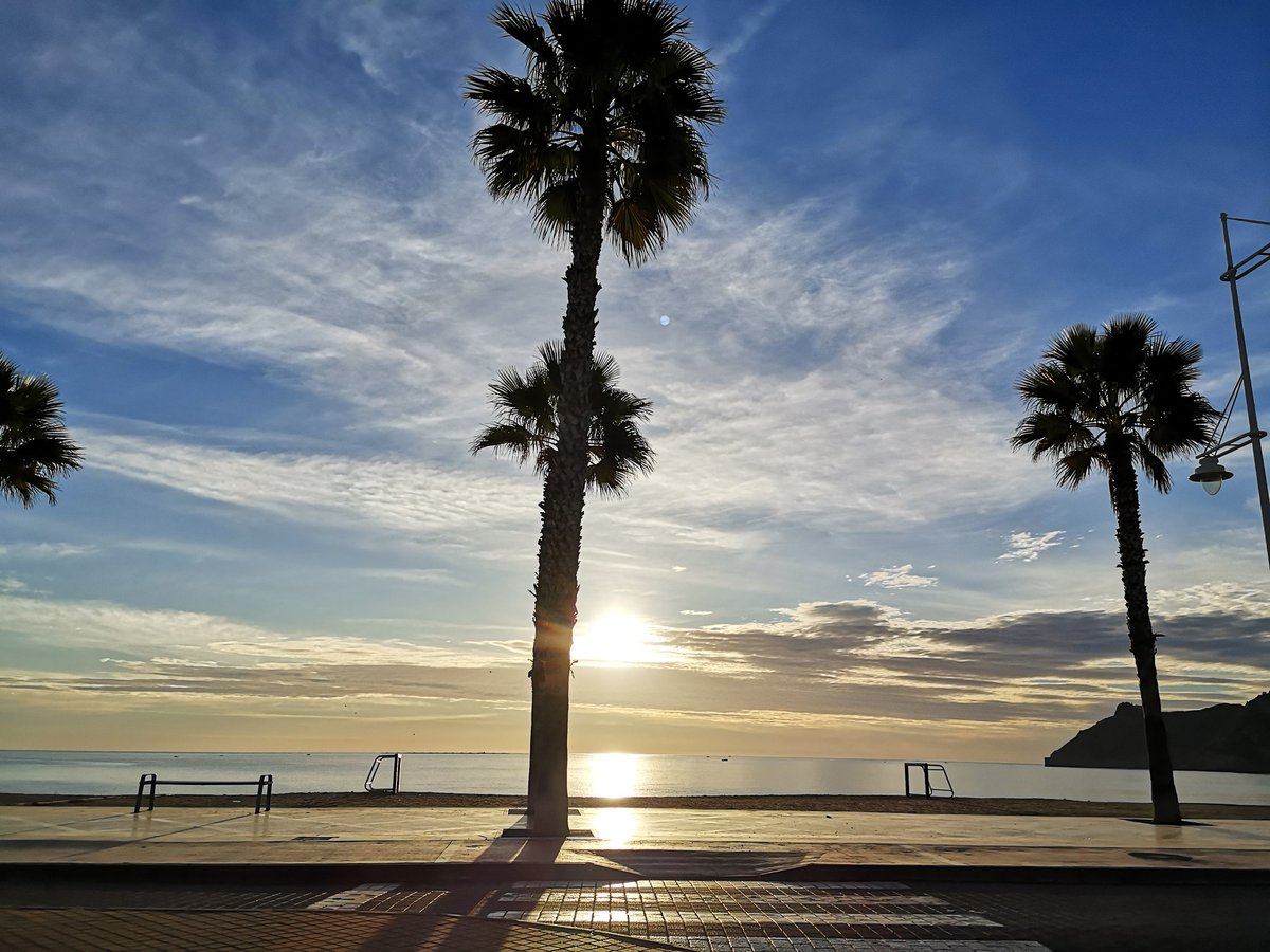 Guten Morgen, ihr Lieben! Das #Ahorn #Wohnmobil ist bereit für die Abfahrt. Der nächste #Stellplatz wird #Fellnasen freundlicher sein.