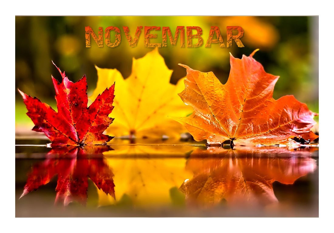 Decijisnovi's tweet photo. Drugari, pročitajte pesmu "Novembar" pesnika Branka Stevanovica!
https://t.co/LGeHSd0cZl
#skola #skolica #pesmicezadecu #zadecu #jesen https://t.co/xZ75Bo8yYD