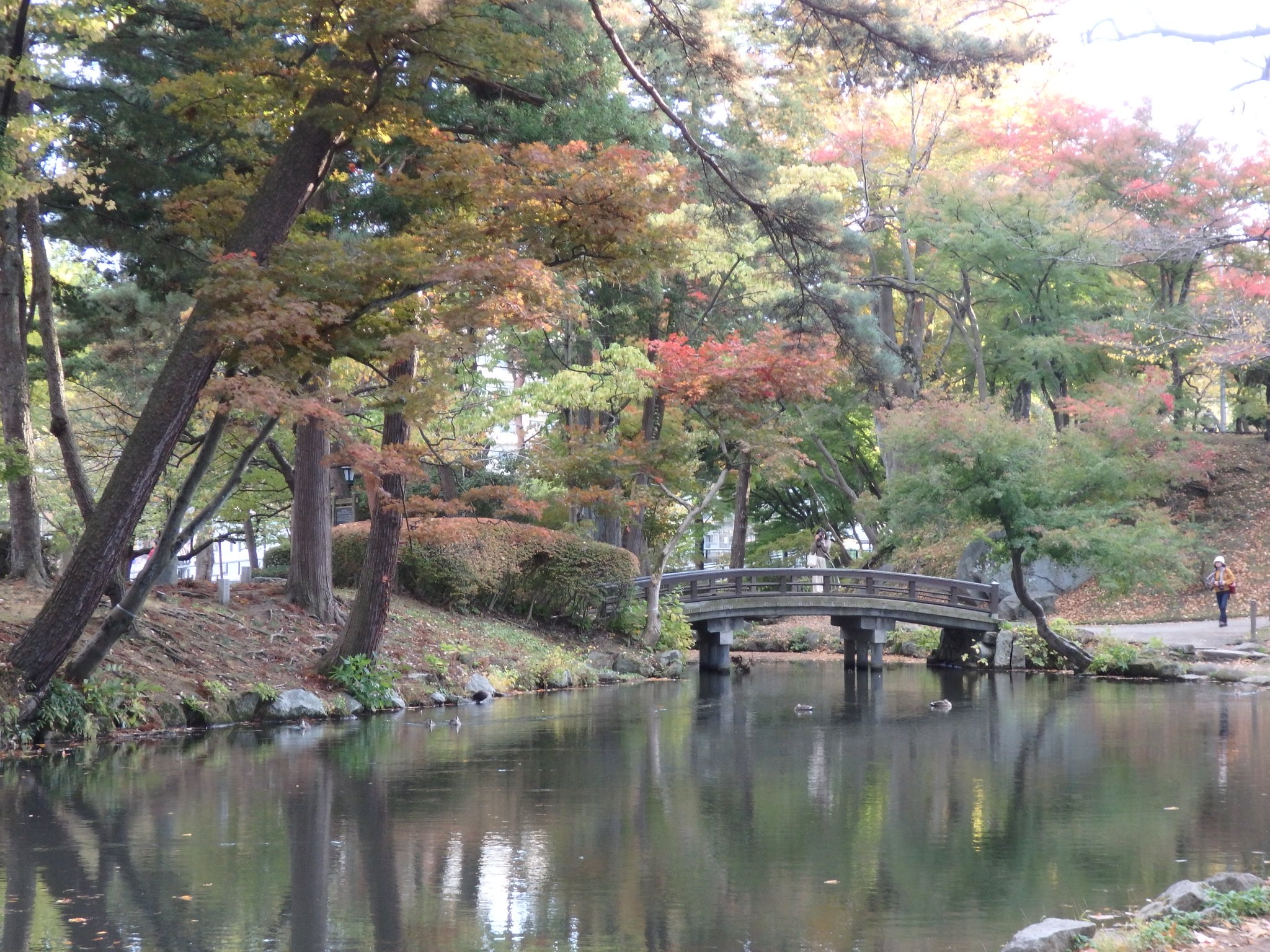 東北紅葉及落雪最新消息 持續更新 Japan Travel 日本旅遊情報網