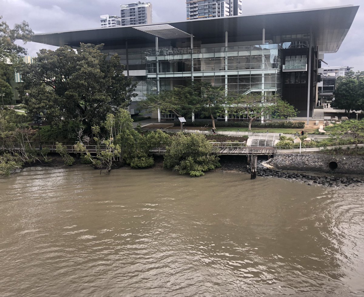 HillThalisAUP's tweet photo. #civicarchitecture
The great public veranda of Queensland #goma facing the Brisbane River by #ClareDesign when with @architectussyd 
Magnificent scale &amp; outlook to city side, integrated with gardens &amp; foreshore promenade
#publicbrisbane https://t.co/4qSC6pLeeY