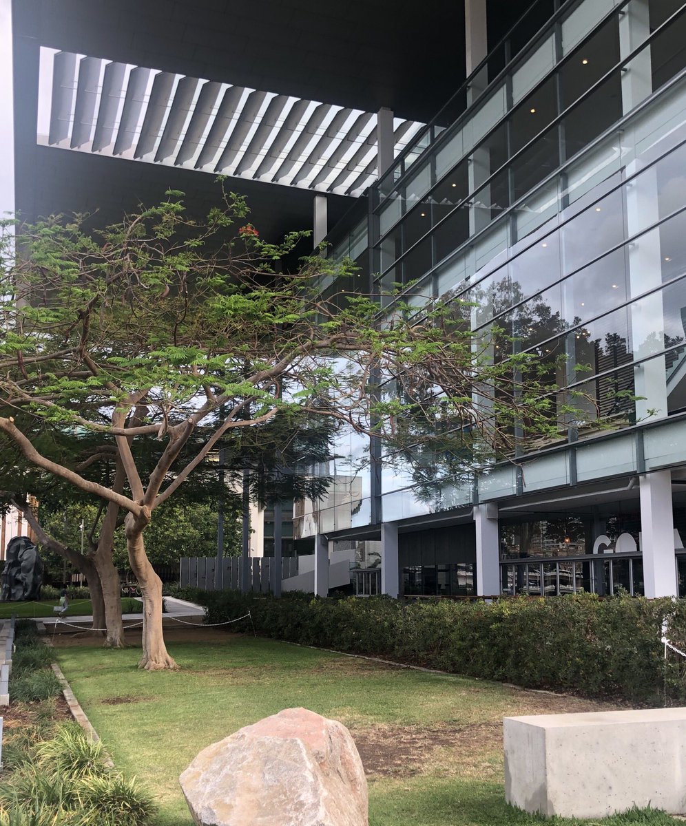 HillThalisAUP's tweet photo. #civicarchitecture
The great public veranda of Queensland #goma facing the Brisbane River by #ClareDesign when with @architectussyd 
Magnificent scale &amp; outlook to city side, integrated with gardens &amp; foreshore promenade
#publicbrisbane https://t.co/4qSC6pLeeY