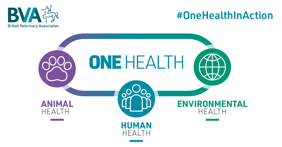BritishVets's tweet photo. *NEWS* We're delighted to announce the launch of our #OneHealthInAction report. It shows the critical link between the health &amp; wellbeing of people, animals and the environment through case studies submitted by leading national organisations #OneHealth https://t.co/Kbx6Lgscss https://t.co/ICz5V9fdaM