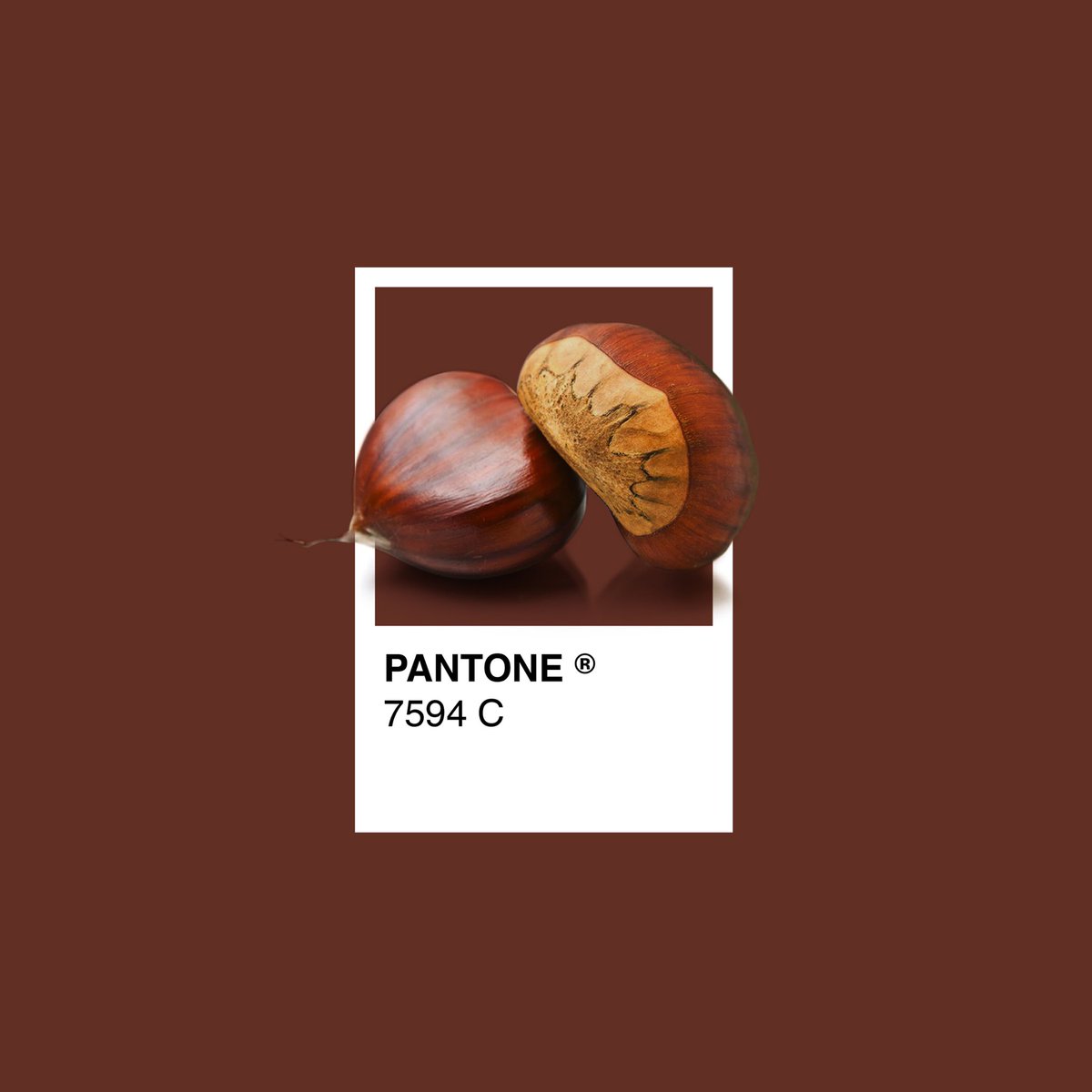 Diacvic's tweet image. Bona castanyada! #castanyada #totssants #pantone #diacvic