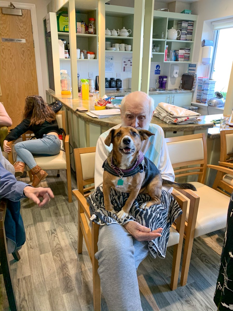 QuantumCareLtd's tweet image. Teaching Talons came to Dukeminster Court in Dunstable with their amazing animals.  They got to see their sweet performing dog Chip, as well as some spooky spiders and snakes!  Our events calendar for November is now up on our website - quantumcare.co.uk