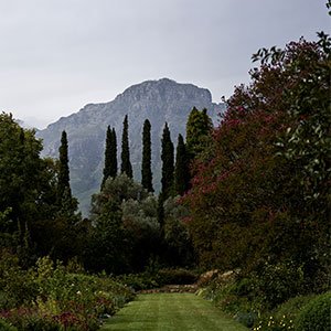 SACLMag's tweet photo. The Glenshiel Christmas Fair kicks off today and there's a host of other events like @RMBWinex, @IreneMkt and the @RustenbergWines Manor House Open Garden to look forward to this weekend.
#CLdiary
https://t.co/2RbOhY4vHX https://t.co/YhXNGL6iuC