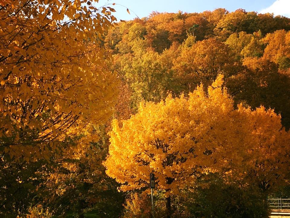 elfchen_una's tweet photo. @NatGeo Lower Franconia, Bavaria, Germany ♥️ https://t.co/SujjZFJt5W