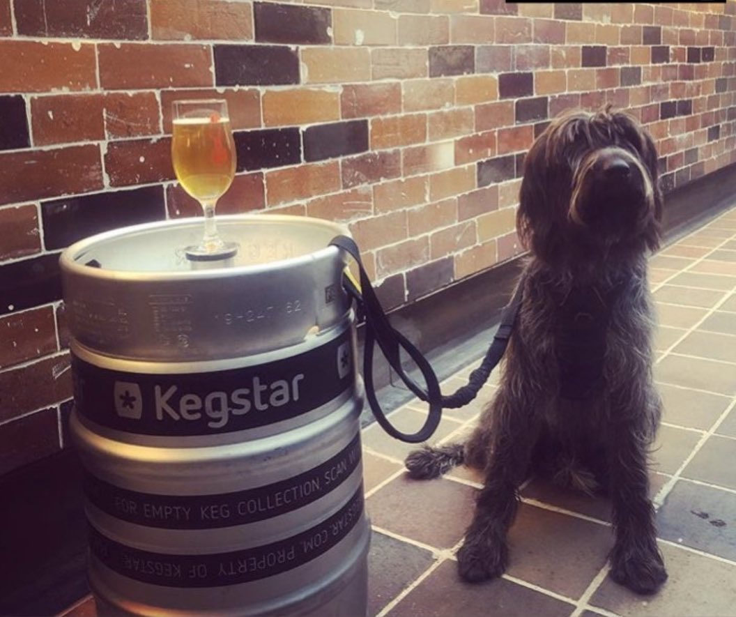 CONFIRMED Picturedrome is;
1. Dog friendly
2. Beer friendly
3. Dog and beer friendly
4. Friendly
#macclesfield <a href="/Blackjackbeers/">Blackjack Brewing Co.</a>